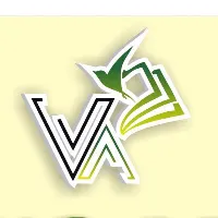 Trường Mầm Non Vàng Anh