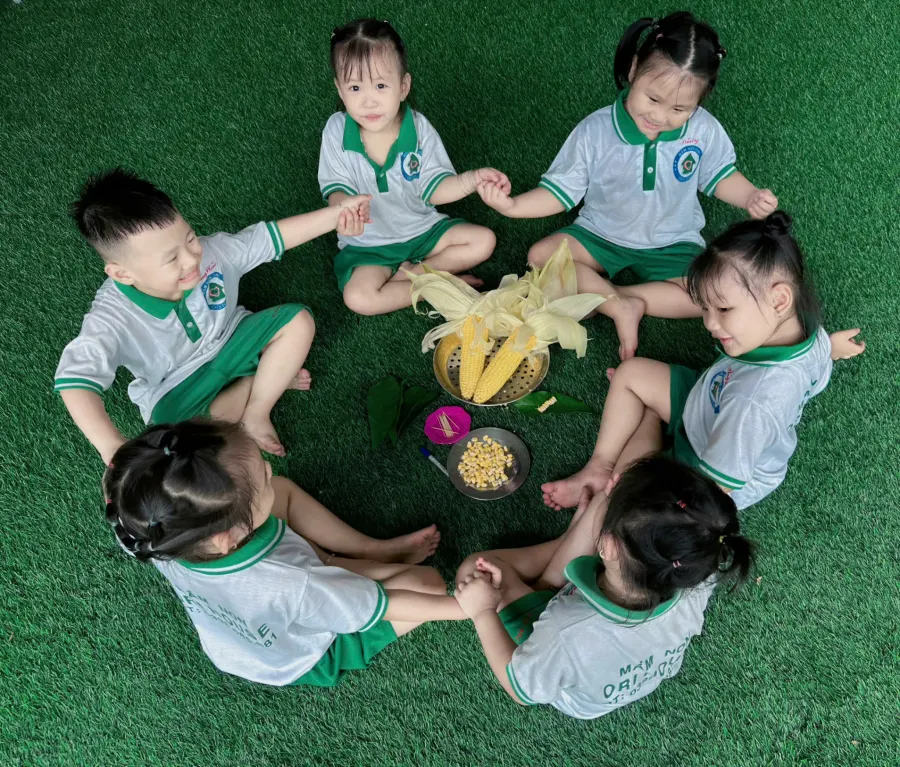 Trường Mầm Non Hoạ Mi Nâu - Đông Tân