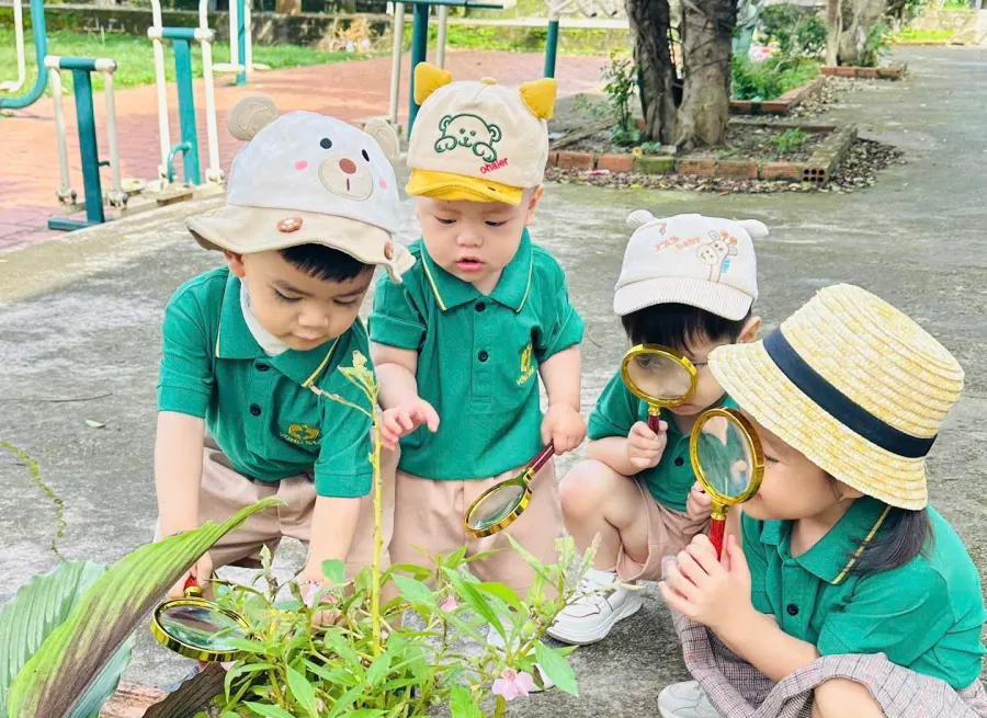 Mầm non Vừng Sao