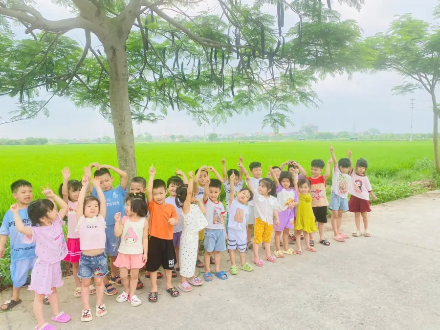 Mầm Non Bông Hoa Nhỏ
