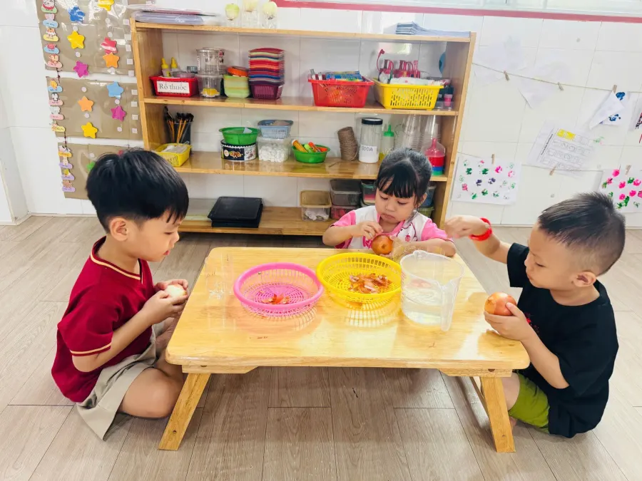 Trường Mầm Non Misa