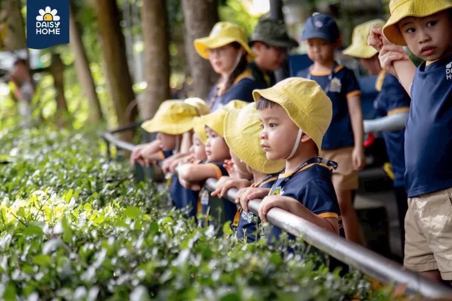 Trường Mầm Non Ngôi Nhà Hoa Cúc (Daisy Home Preschool)
