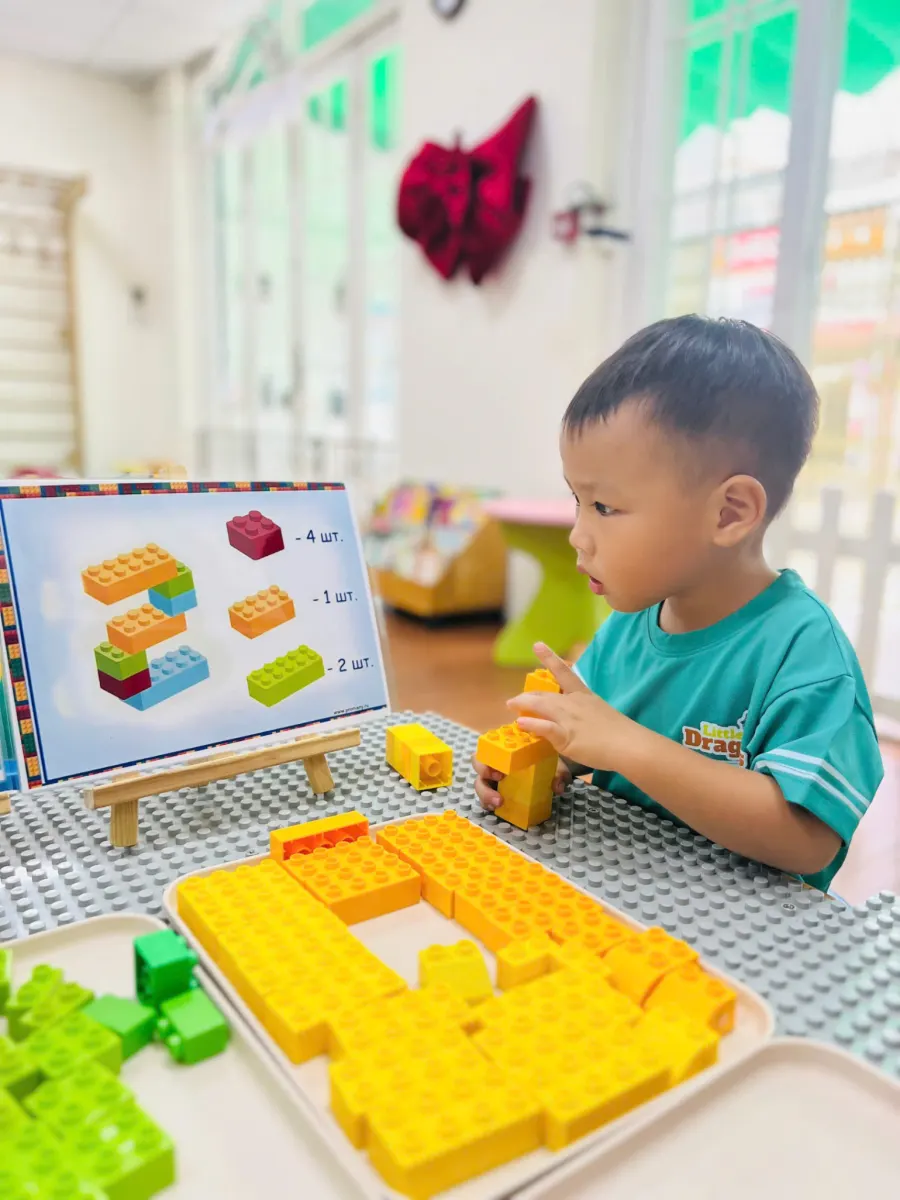 Hệ thống Mầm non Rồng Con (Little Dragons Kindergarten)