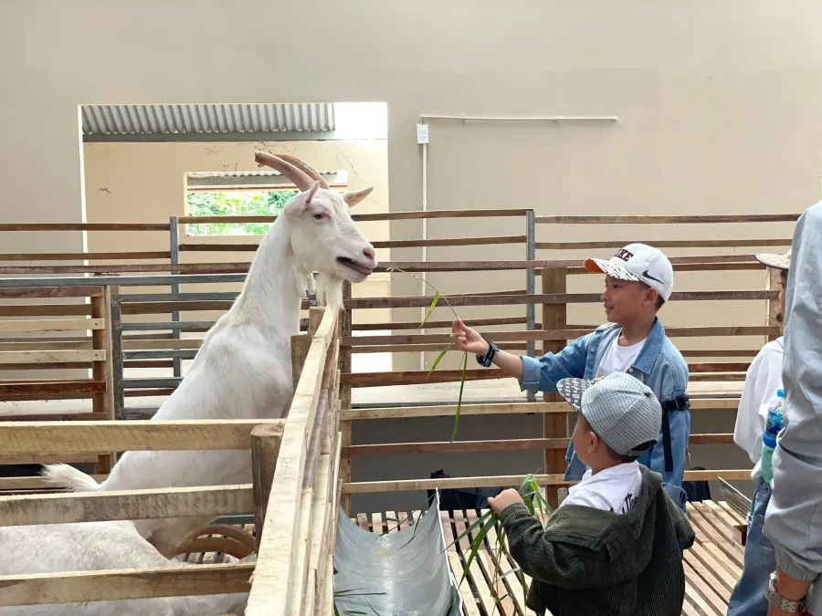 Trung Tâm Ngoại Ngữ Dalat Academy - Xuân Hương, Đà Lạt