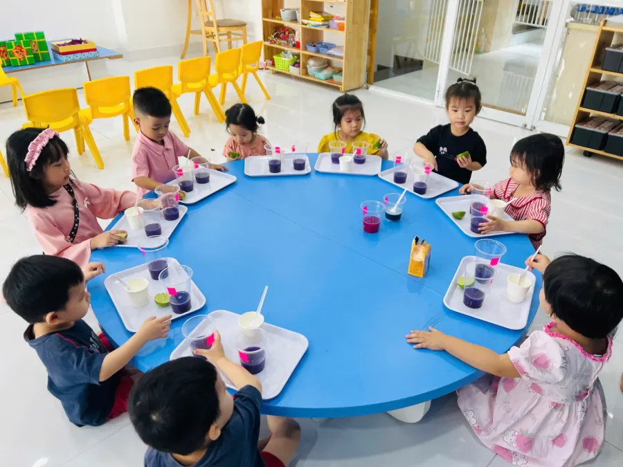 Mầm Non Viên Ngọc Sáng - KĐT Vạn Phúc