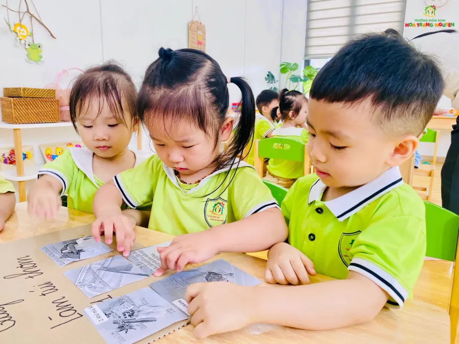 Trường Mầm Non Hoa Trạng Nguyên - Phường Chương Mỹ