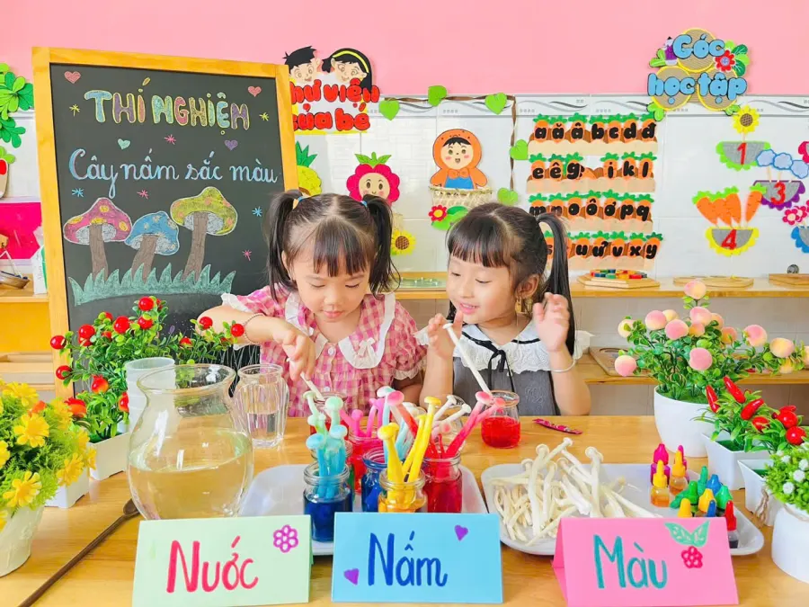 Trường Mầm Non Mặt Trời Bé Con 3