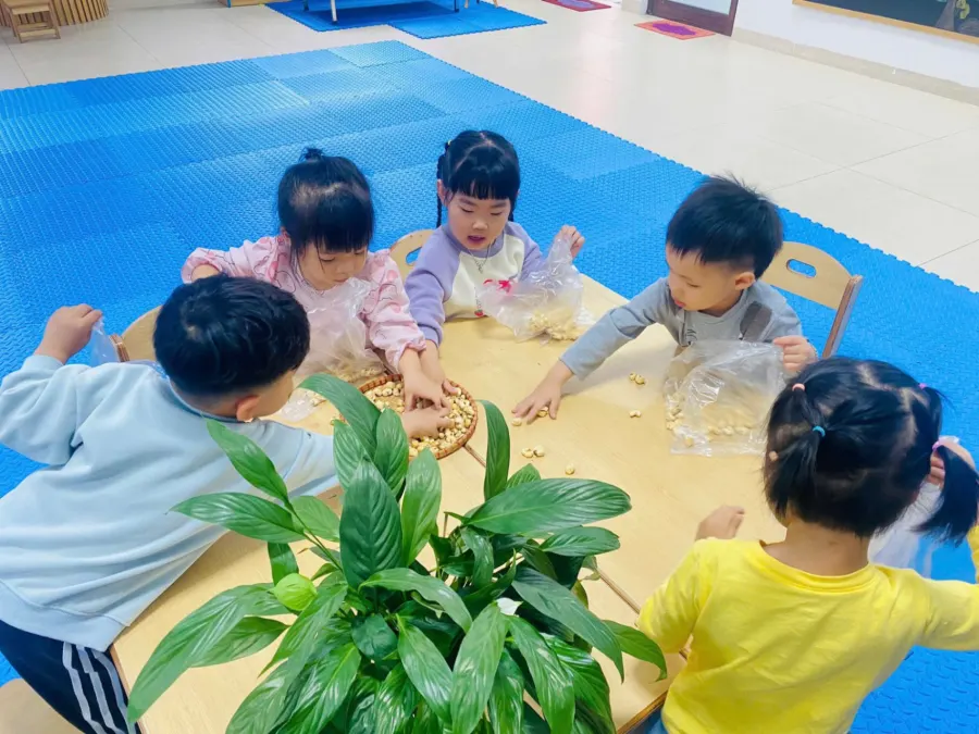 Mầm Non Chúc An