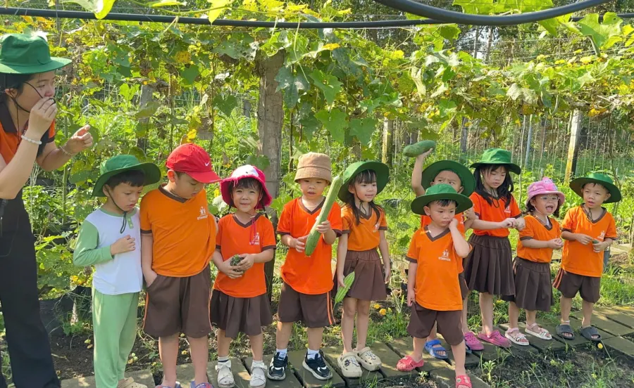 Mầm Non Những Ngôi Sao Nhí - STARKIDS