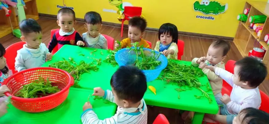 Trường mầm non Thảo Hiền