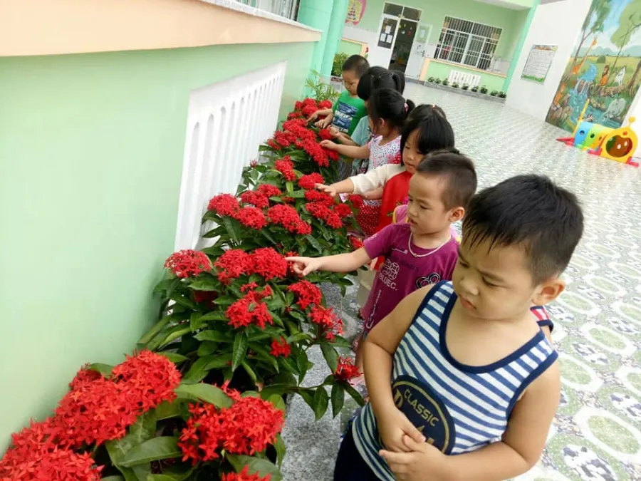 Trường mầm non Thành Sen