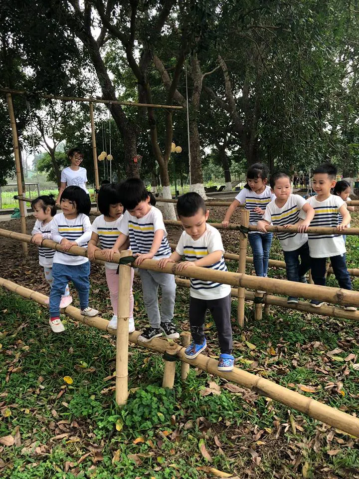 Trường Mầm Non Đại Dương Xanh