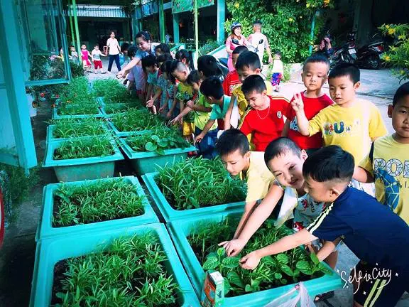 Trường mầm non Sen Hồng