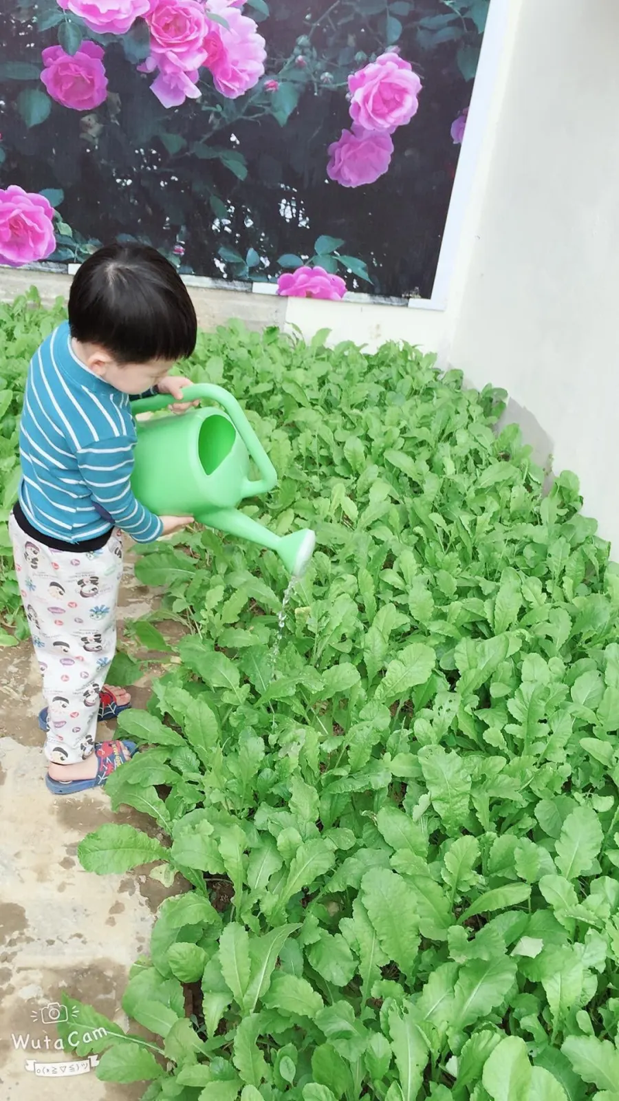 Trường mầm non BonBee CS3
