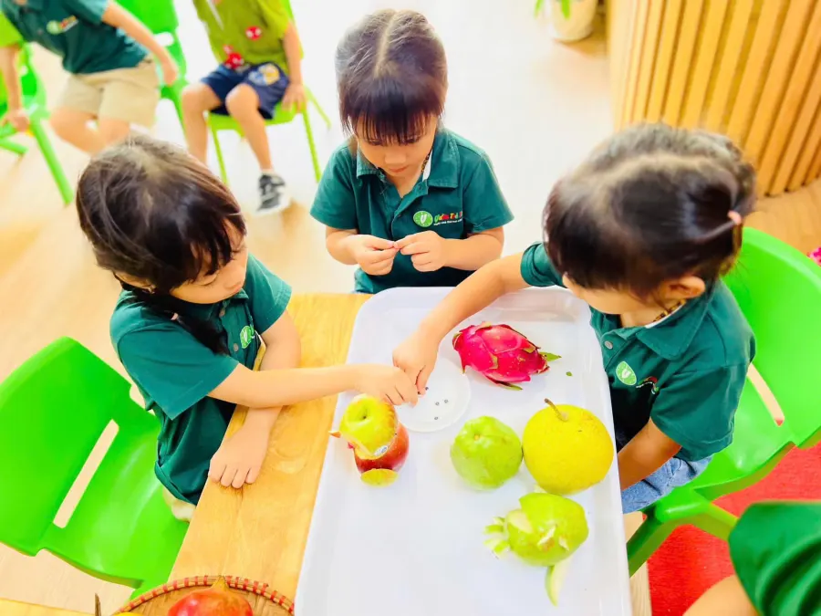 Trường mầm mon Vườn Trẻ Thơ