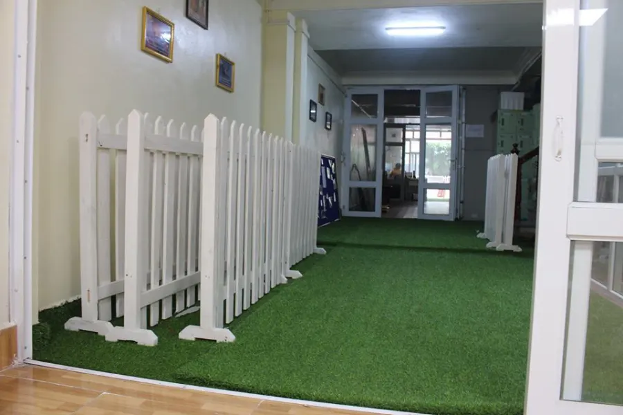 Trường mầm non Alibonbon Montessori ( Hoa Lư ) - Phố cầu huyện , Thiên Tôn