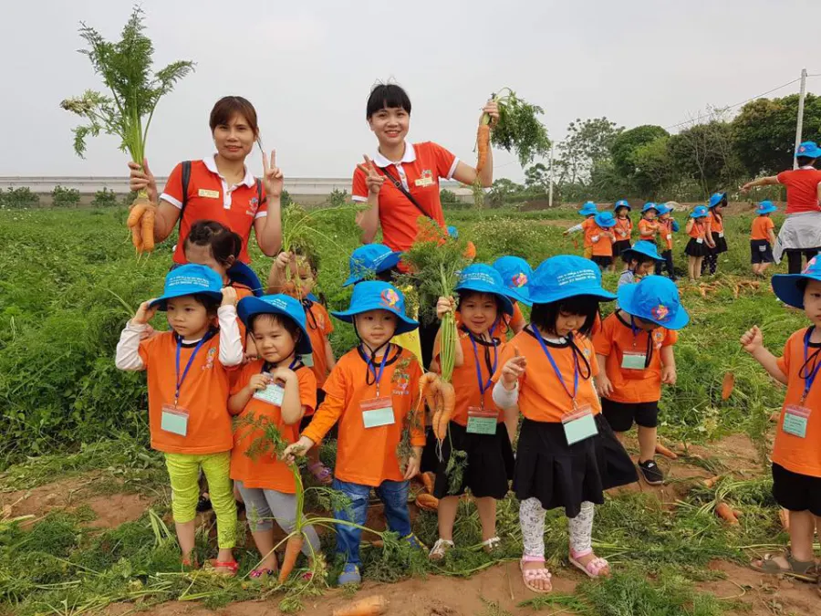 Trường mầm non Mặt Trời Bé Thơ - Sunny Kids Preschool