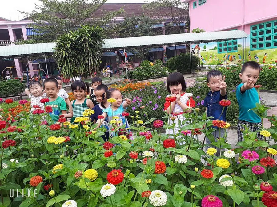 Trường mầm non Sơn Ca
