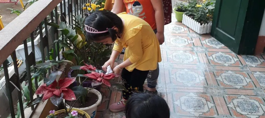 Trường mầm non Hoàng Hanh