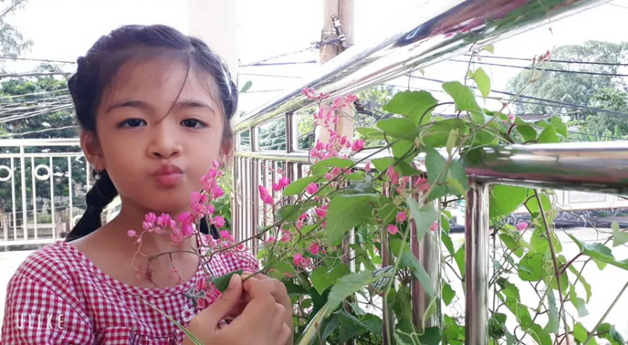 Trường mầm non Mai Anh