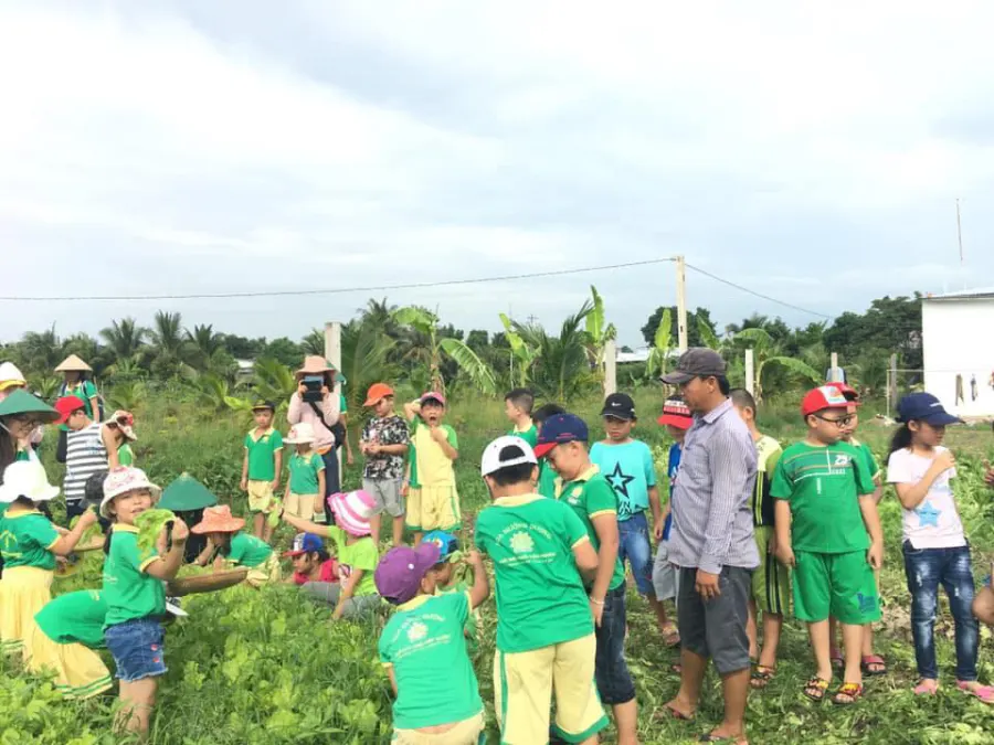 Trường mầm non Hoa Hướng Dương