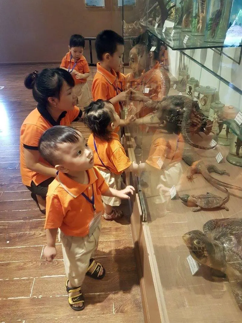 Trường mầm non Tuổi Thơ