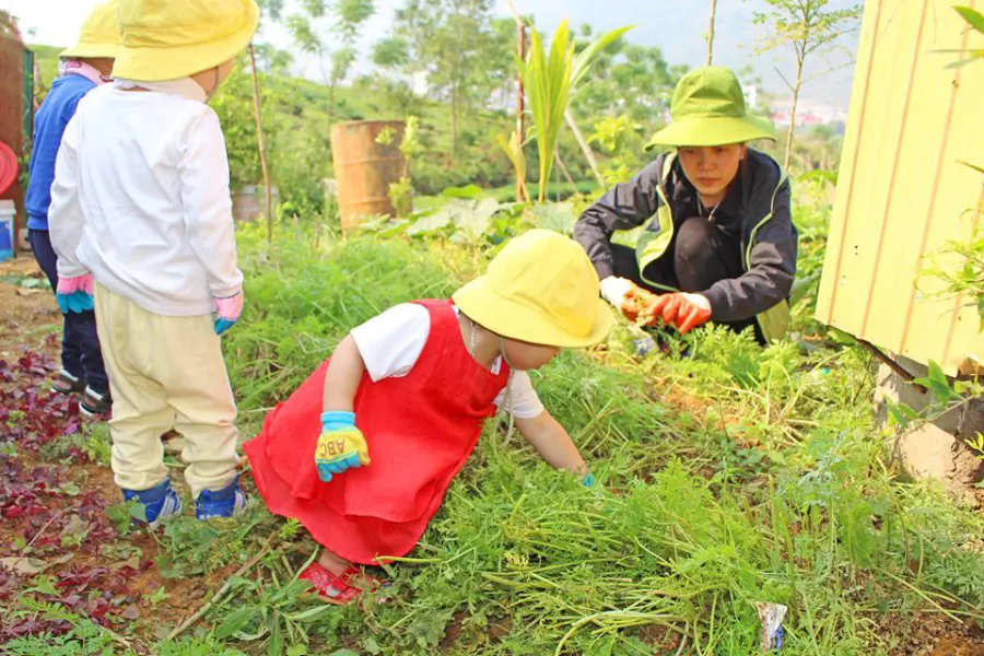 Trường mầm non Candy Garden