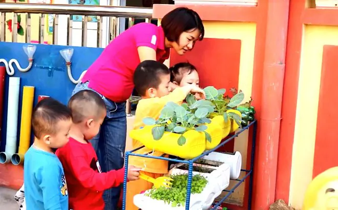Trường mầm non Bông Sen