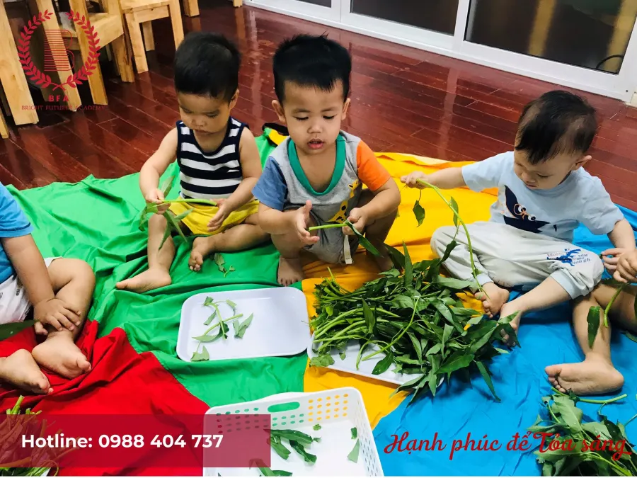 Trường mầm non Bright Futures Academy ( BFA )