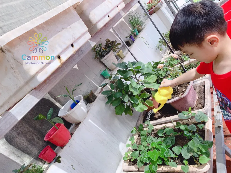 Trường mầm non Cammon Montessori (Hoa Trà My Group) - Phạm Tuấn Tài, Cầu Giấy