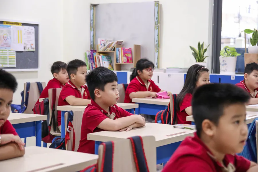 Trường tiểu học Việt Mỹ (VASCHOOLS)
