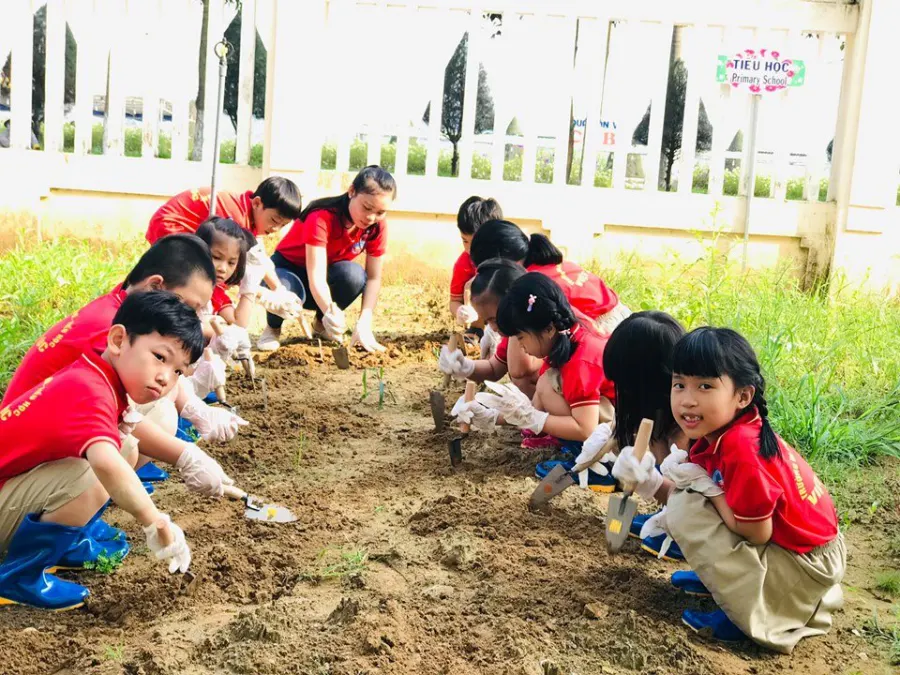 Trường Mầm Non - Tiểu Học Việt Úc