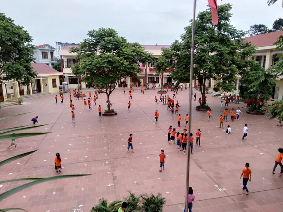 Trường tiểu học Hoàng Đồng