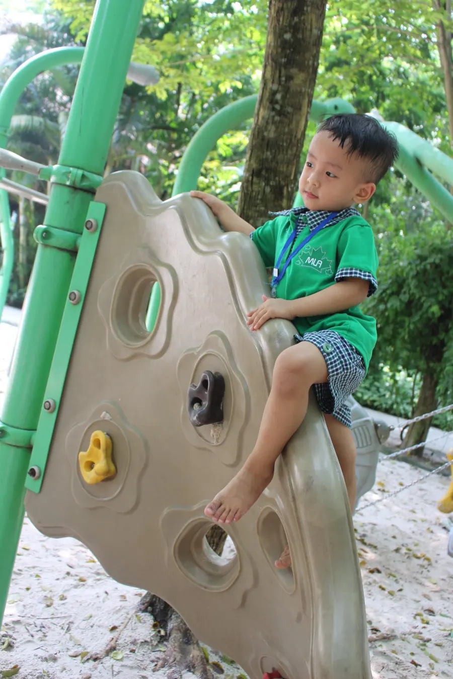Mầm Non Lá Phong Xanh - Lá Phong Đỏ (The Maple Leaf Montessori Academy)