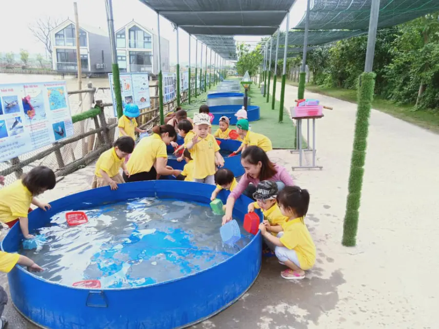 Trường mầm non Bé Xinh Gelexia