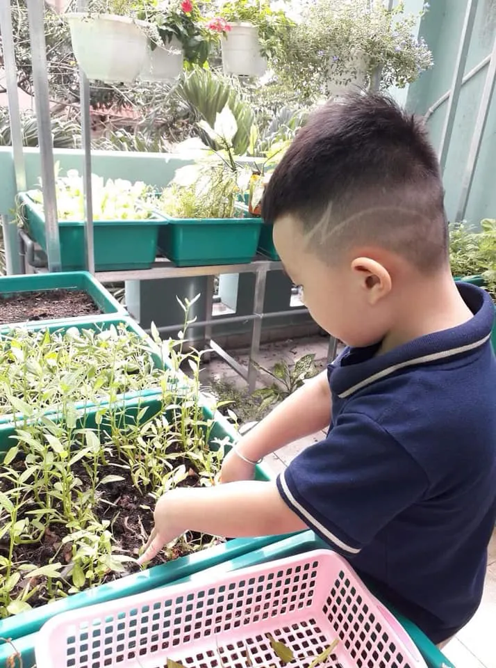 Trường mầm non Hoàng Mai 2