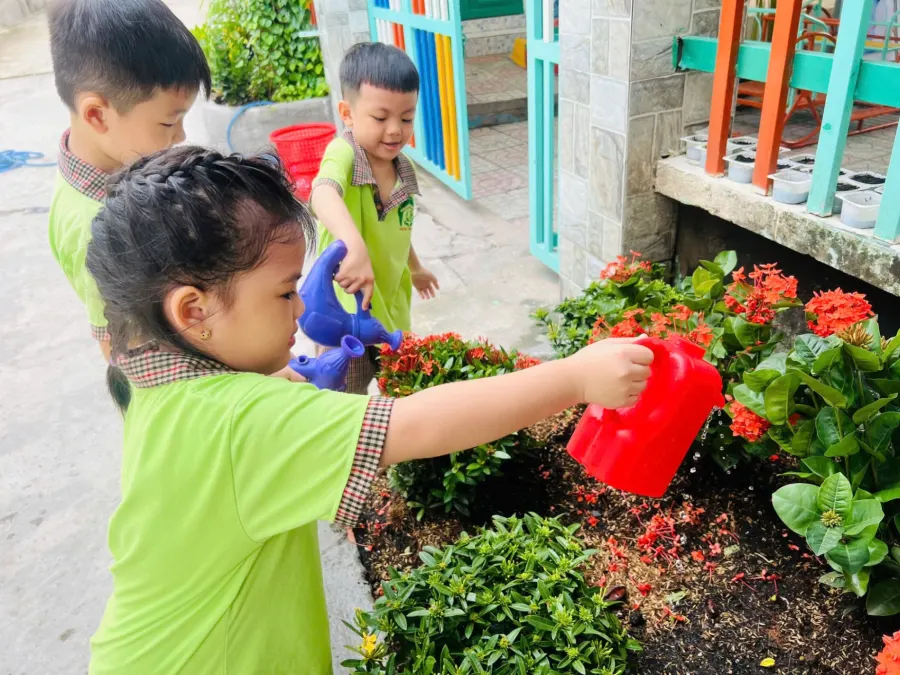 Trường mầm non Thỏ Nâu