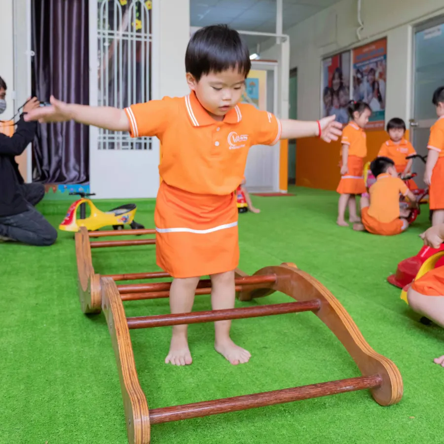 Trường mầm non Việt Mỹ (VASS)