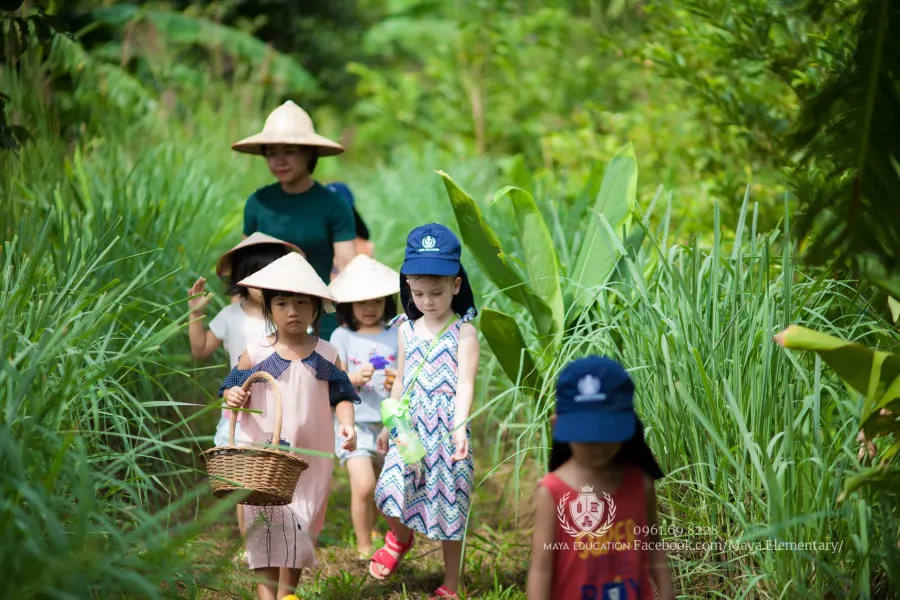 Trường tiểu học Maya School