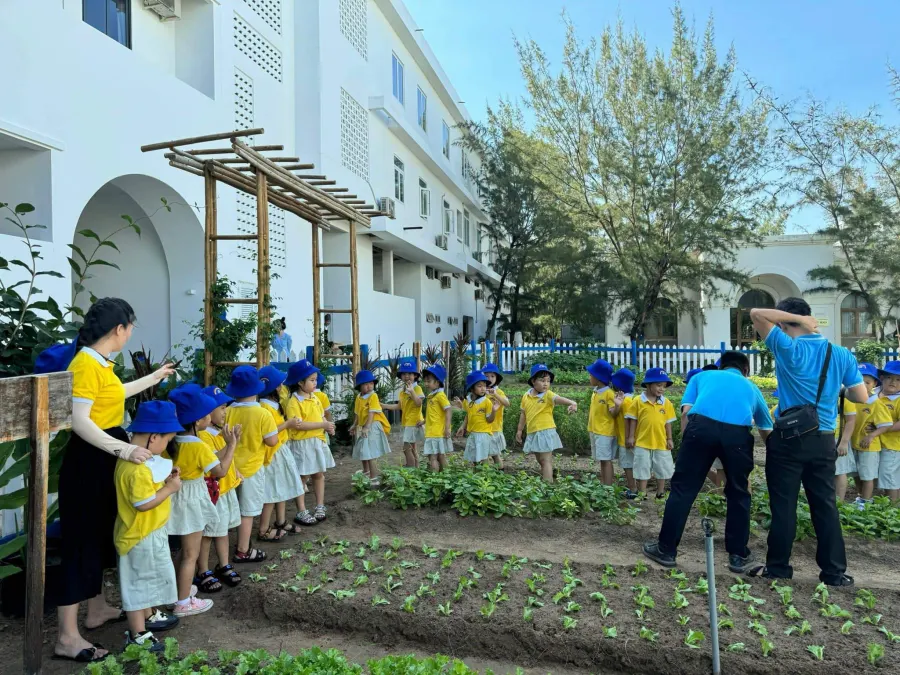 Trường Mầm Non Cầu Vồng - Phường 9