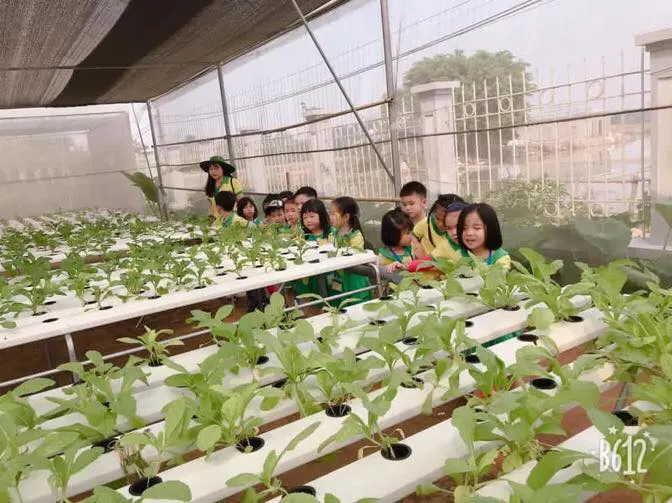 Trường mầm non Sinh Thái (  Erahouse  )- Giang Biên