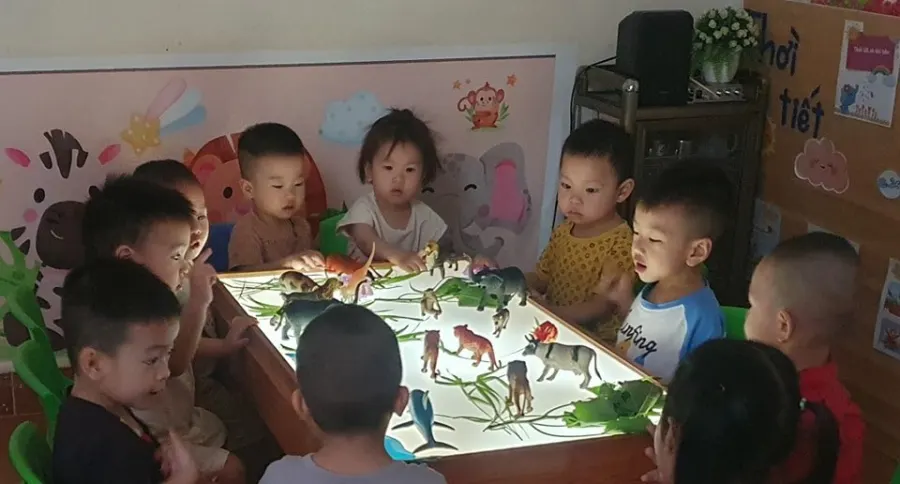 Trường Mầm non Ngôi Sao Lấp Lánh
