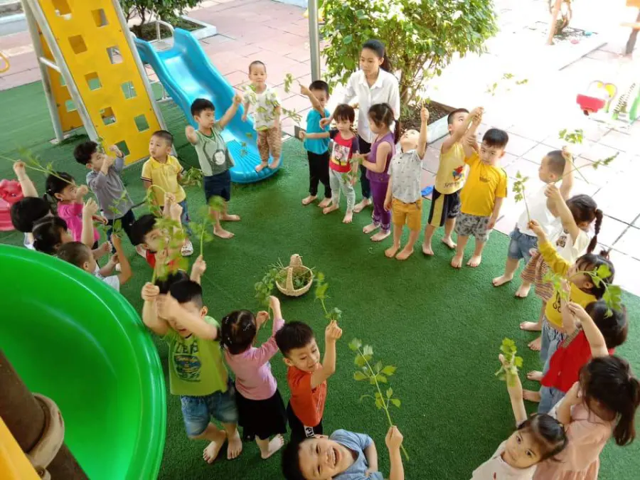 Trường Mầm Non Thảo Anh - Bắc Cường