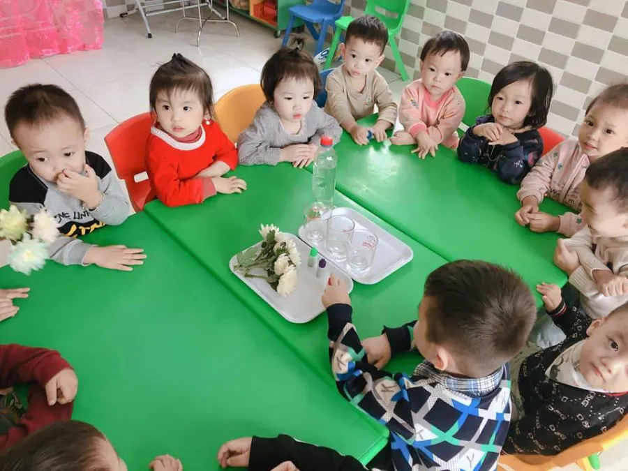 Trường mầm non Giá dục sớm Hoa Sen Minh Hải CS2