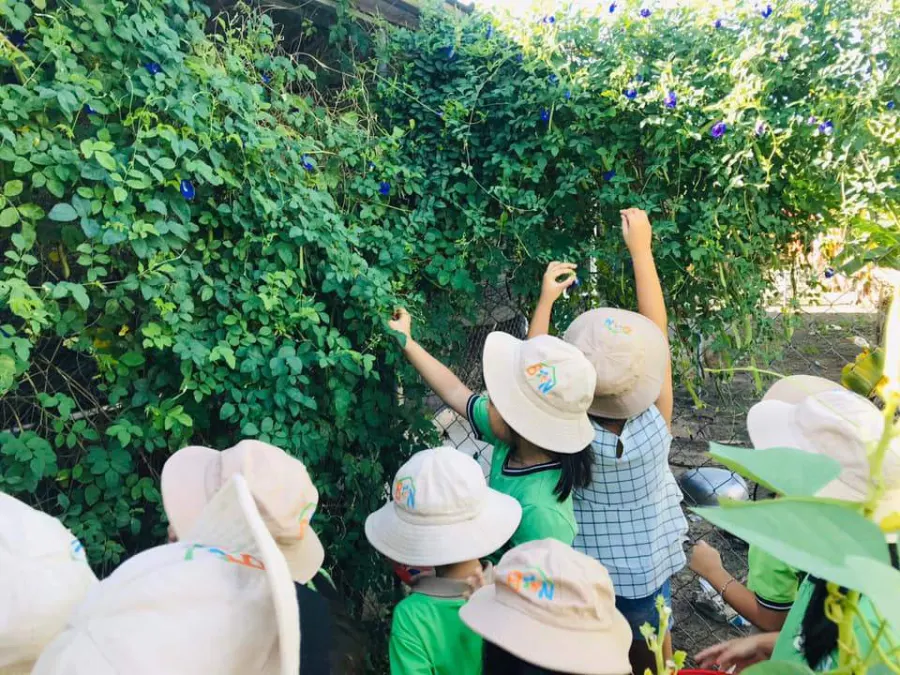 Trường mầm non Bé Ngoan
