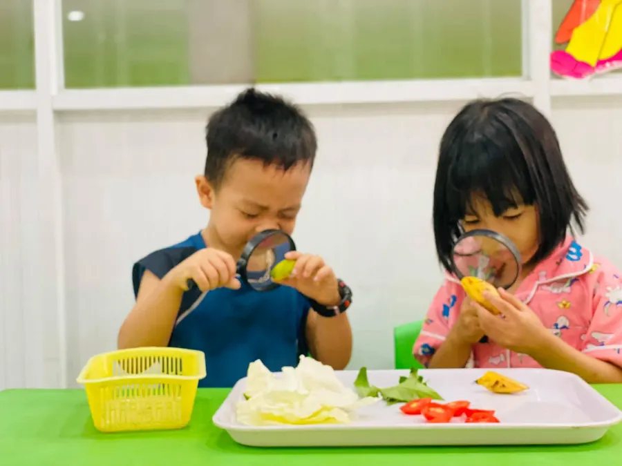 Mầm non Minh Anh - Trảng Dài