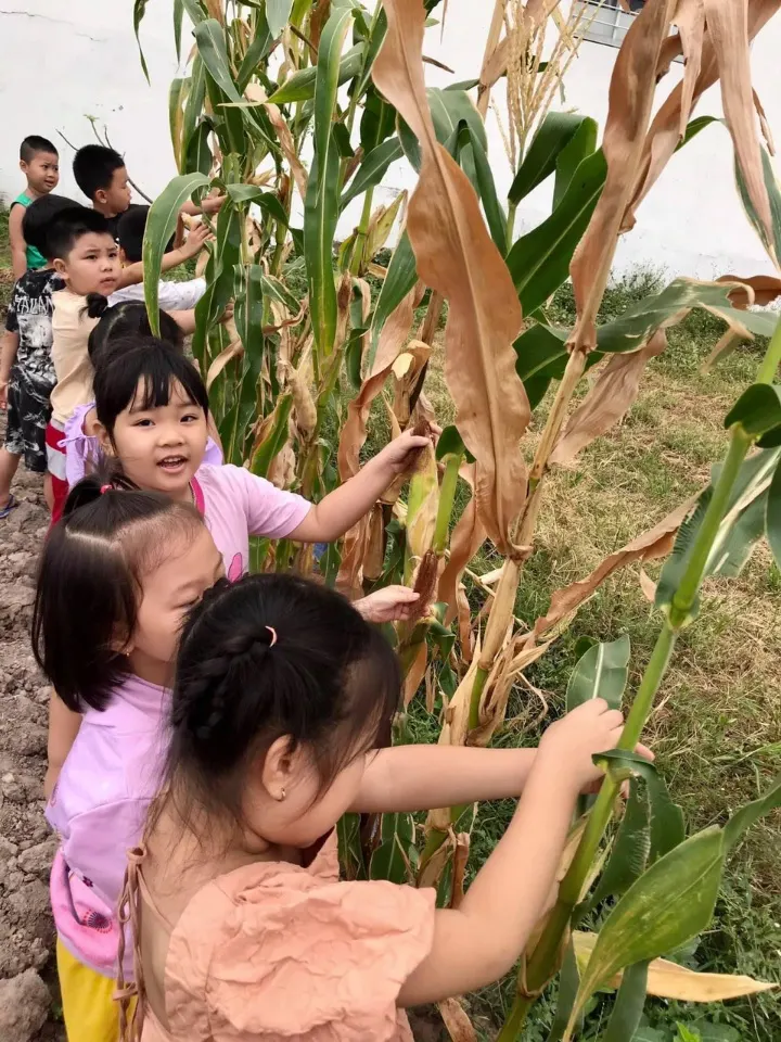 Mầm non sắc màu - Đông Thạnh