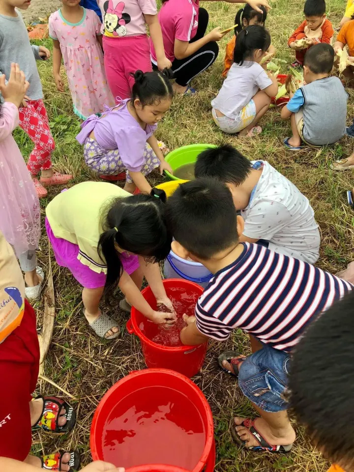 Mầm non sắc màu - Đông Thạnh