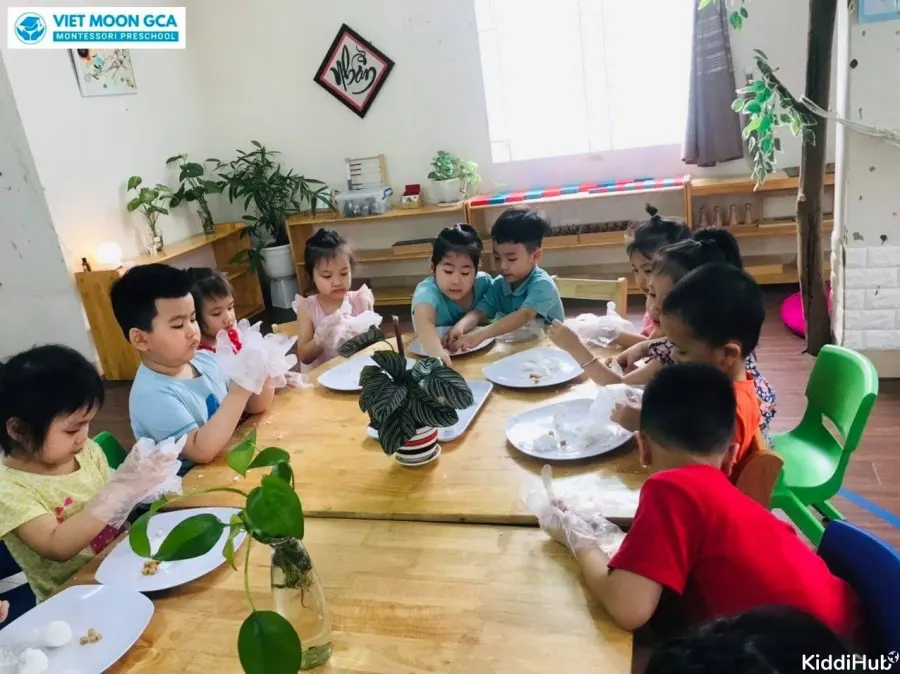Mầm non Vietmoon Linh Đàm
