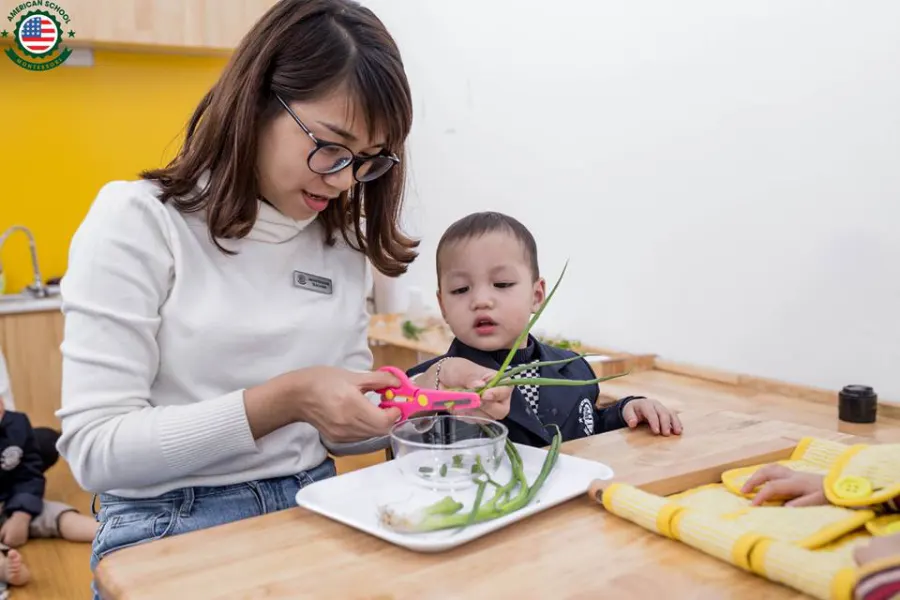 Trường mầm non Song ngữ Việt Mỹ Montessori